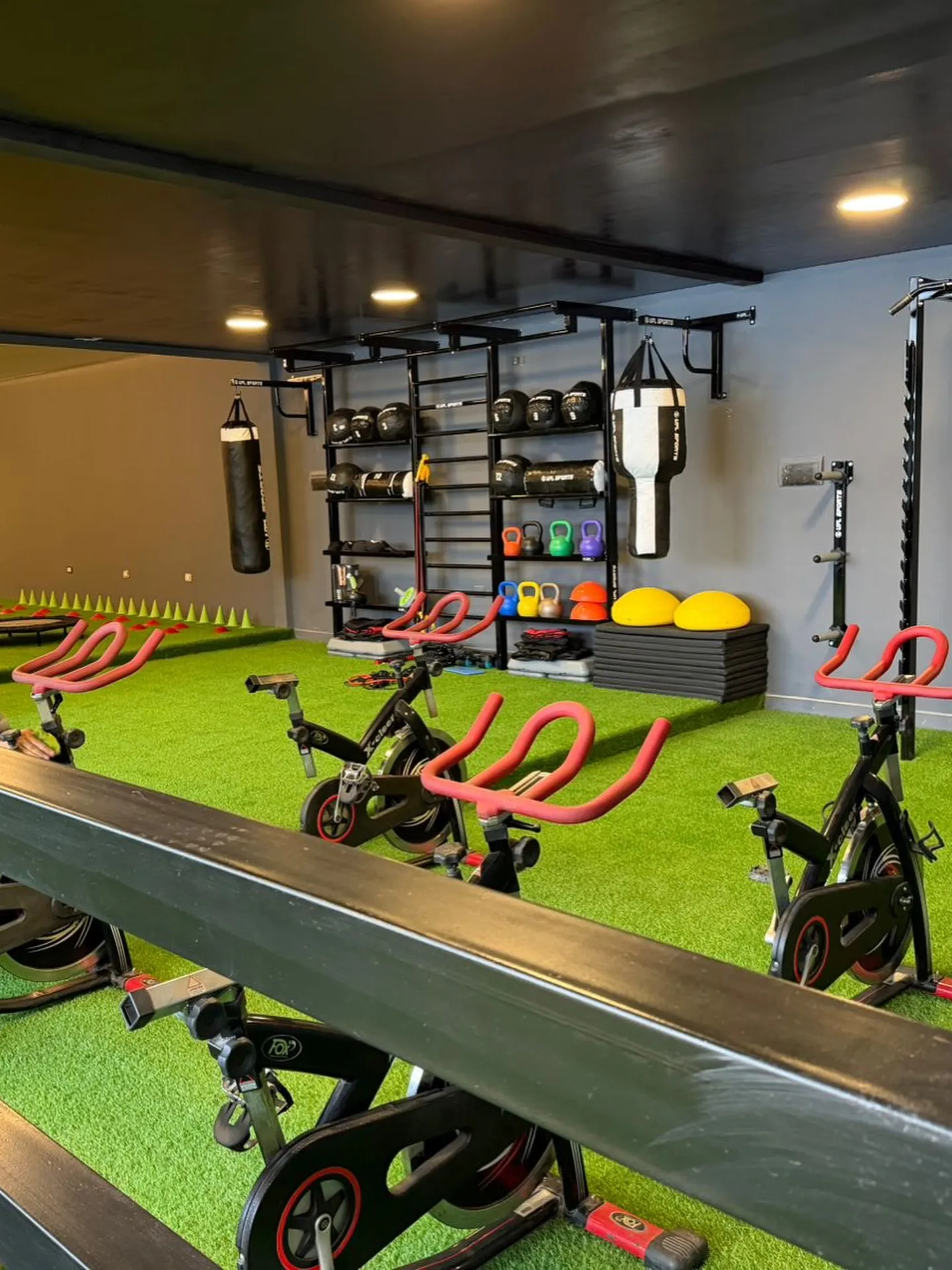 Zona funcional de Black Gym con bicicletas de spinning, kettlebells de colores y saco de boxeo sobre piso de césped sintético