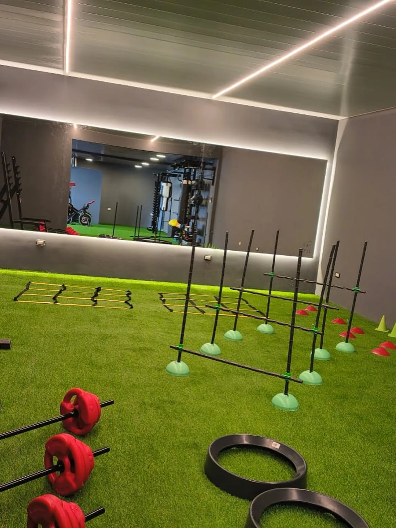 Zona de entrenamiento funcional con escalera de agilidad, discos y aros de ejercicio sobre césped sintético